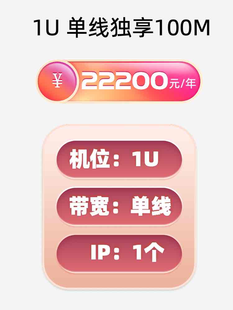 临沂单线100M服务器托管价格